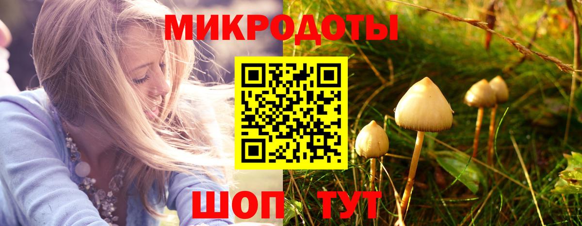 Каспийск  Галлюциногенные грибы Psilocybe  Галлюциногенные грибы мухоморы  Вход с VPN 