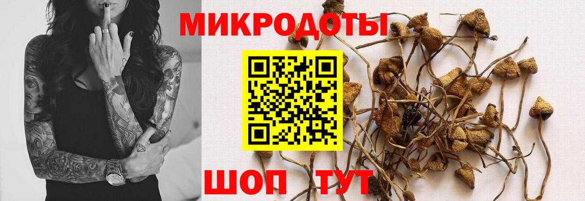 Псилоцибиновые грибы прущие грибы Каспийск